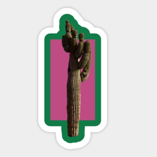 Cactus Sticker